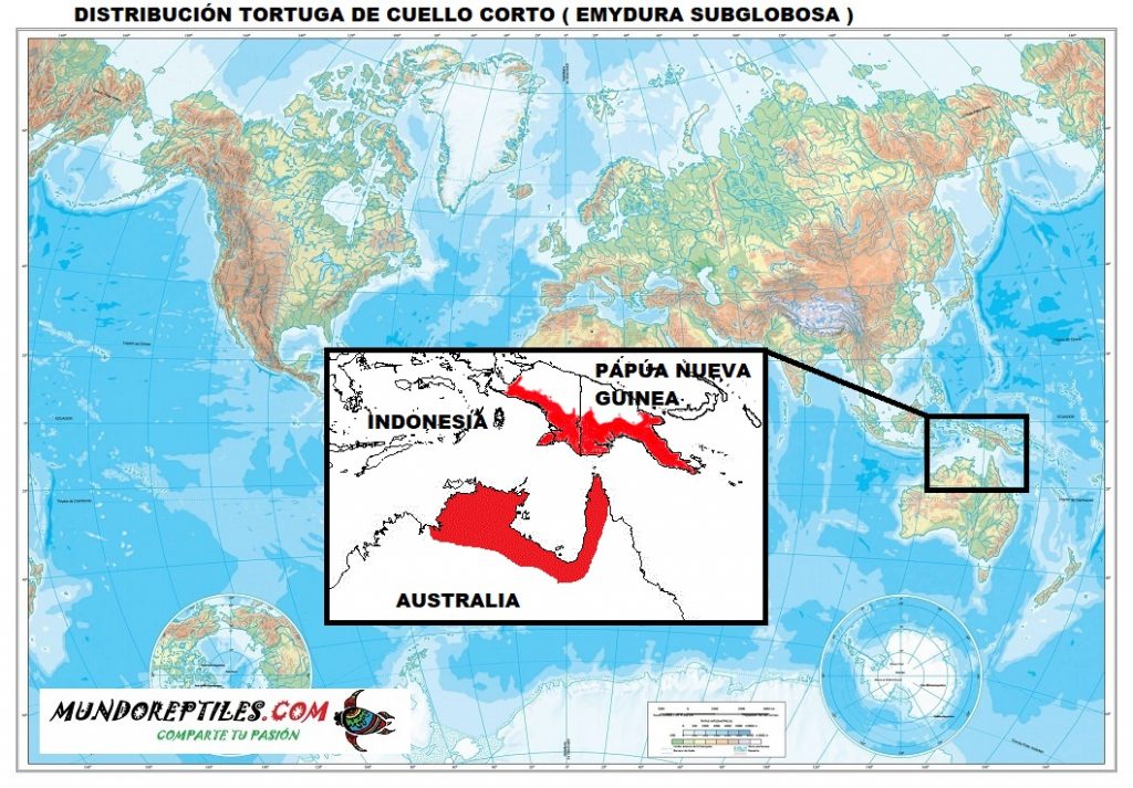 distribución tortuga de cuello corto emydura subglobosa