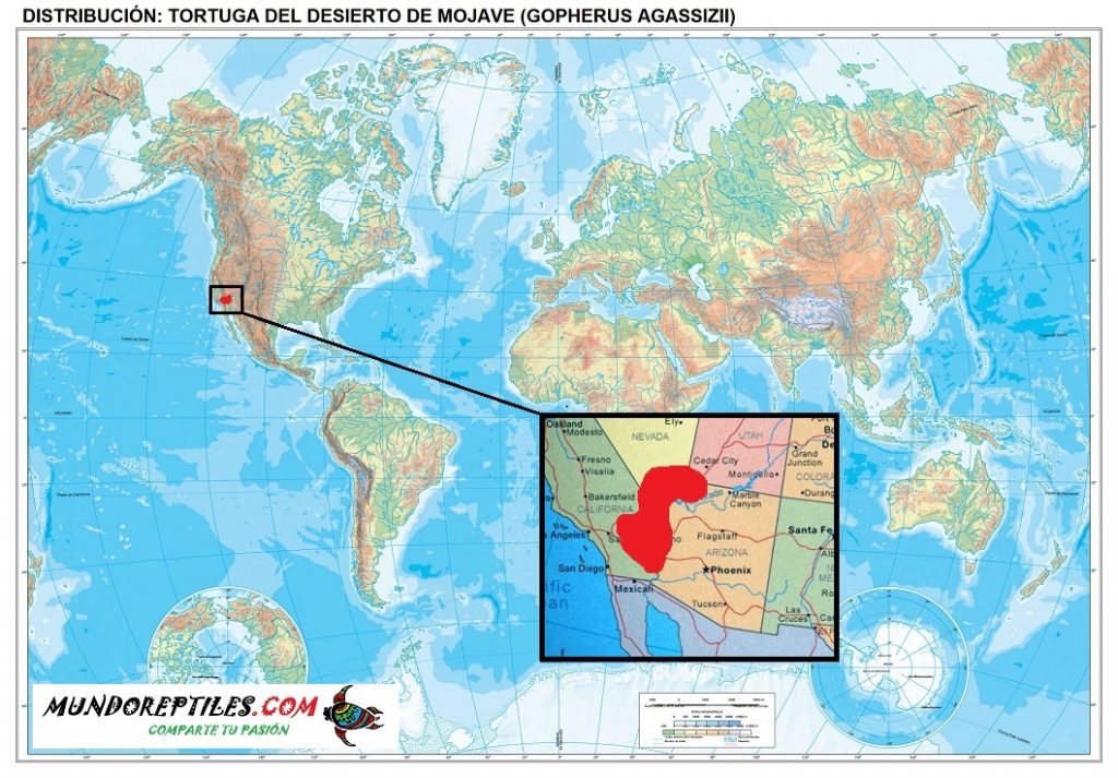 Distribución y habitat de la Tortuga del desierto de Mojave Gopherus Agassizii