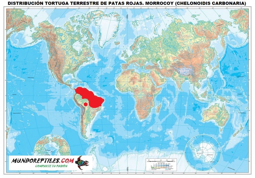 distribución tortuga patas rojas morrocoy Chelonoidis carbonaria