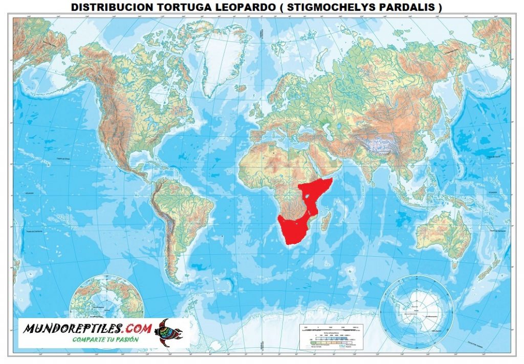 distribucion stigmochelys pardalis