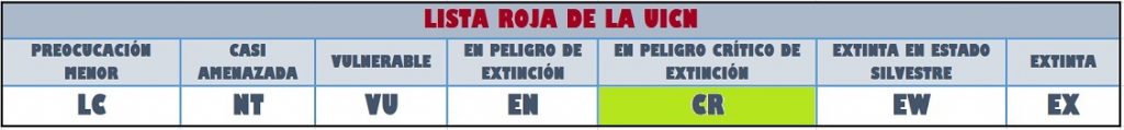 lista roja en peligro de extinción crítico pyxis arachnoides