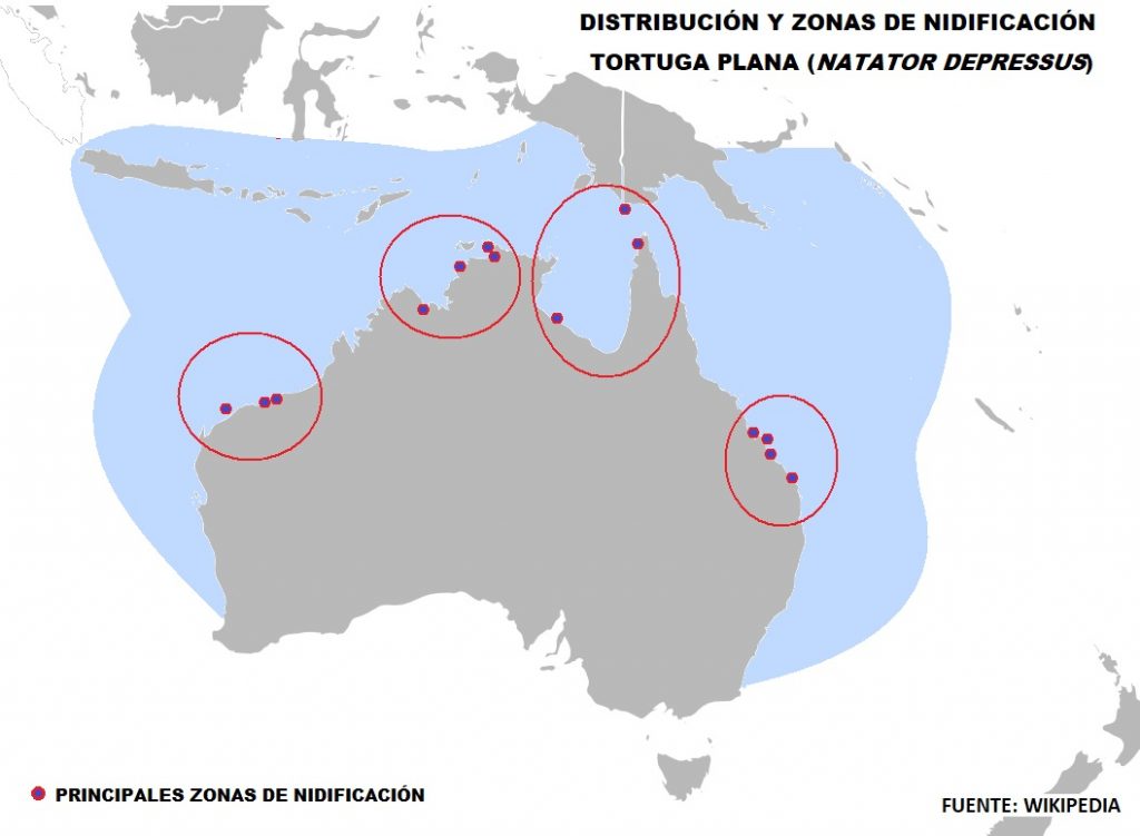 mapa de distribucion y nidificacion de la tortuga plana